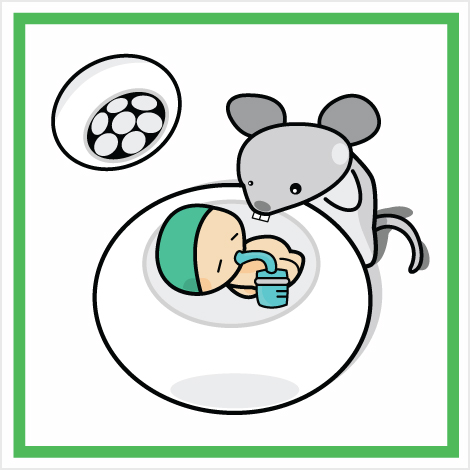 Medical malpractice - Mouse in the Operating Room